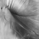 . Quelle: Elgene Buhong – pexels.com